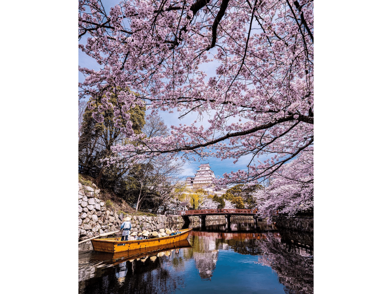 美しい春の播磨をシェアしよう！「さくらフォトイベント」絶景写真集
